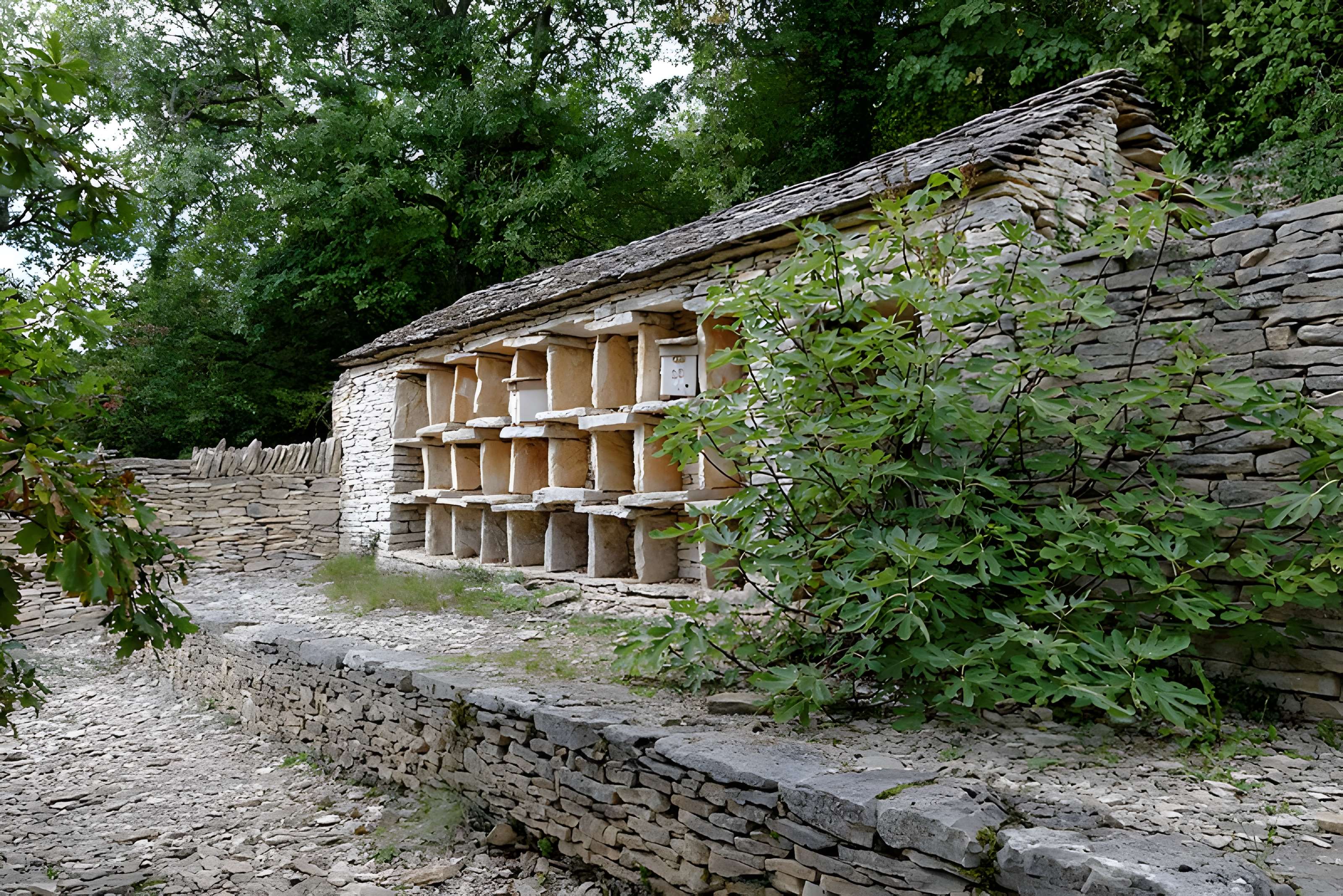 Rucher de la Combe à la Serpent à Corcelles-les-Monts