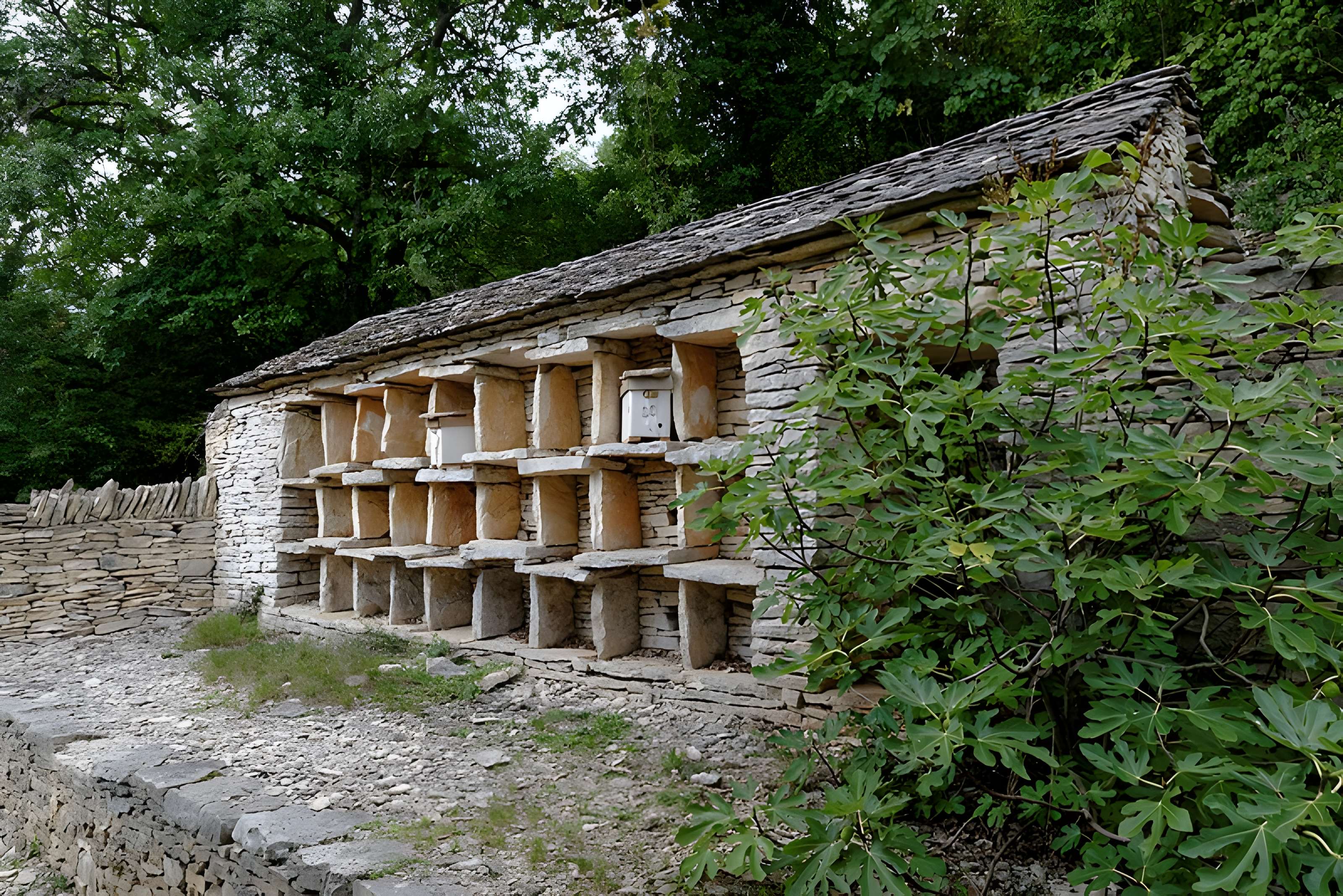 Rucher de la Combe à la Serpent à Corcelles-les-Monts