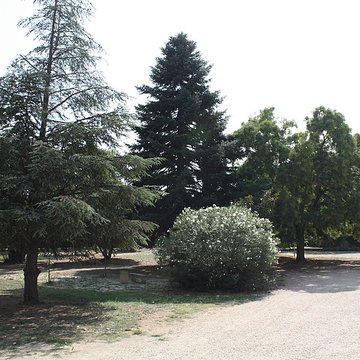 Château du Vieux Mujolan