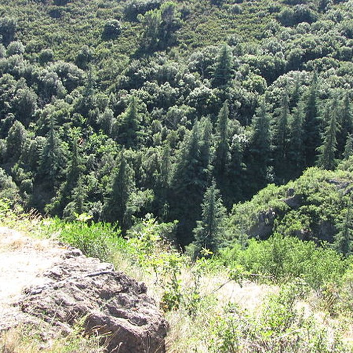Photo de Ruines des quatre châteaux de Lastours