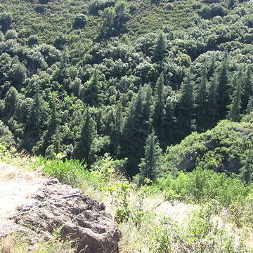 Ruines des quatre châteaux de Lastours