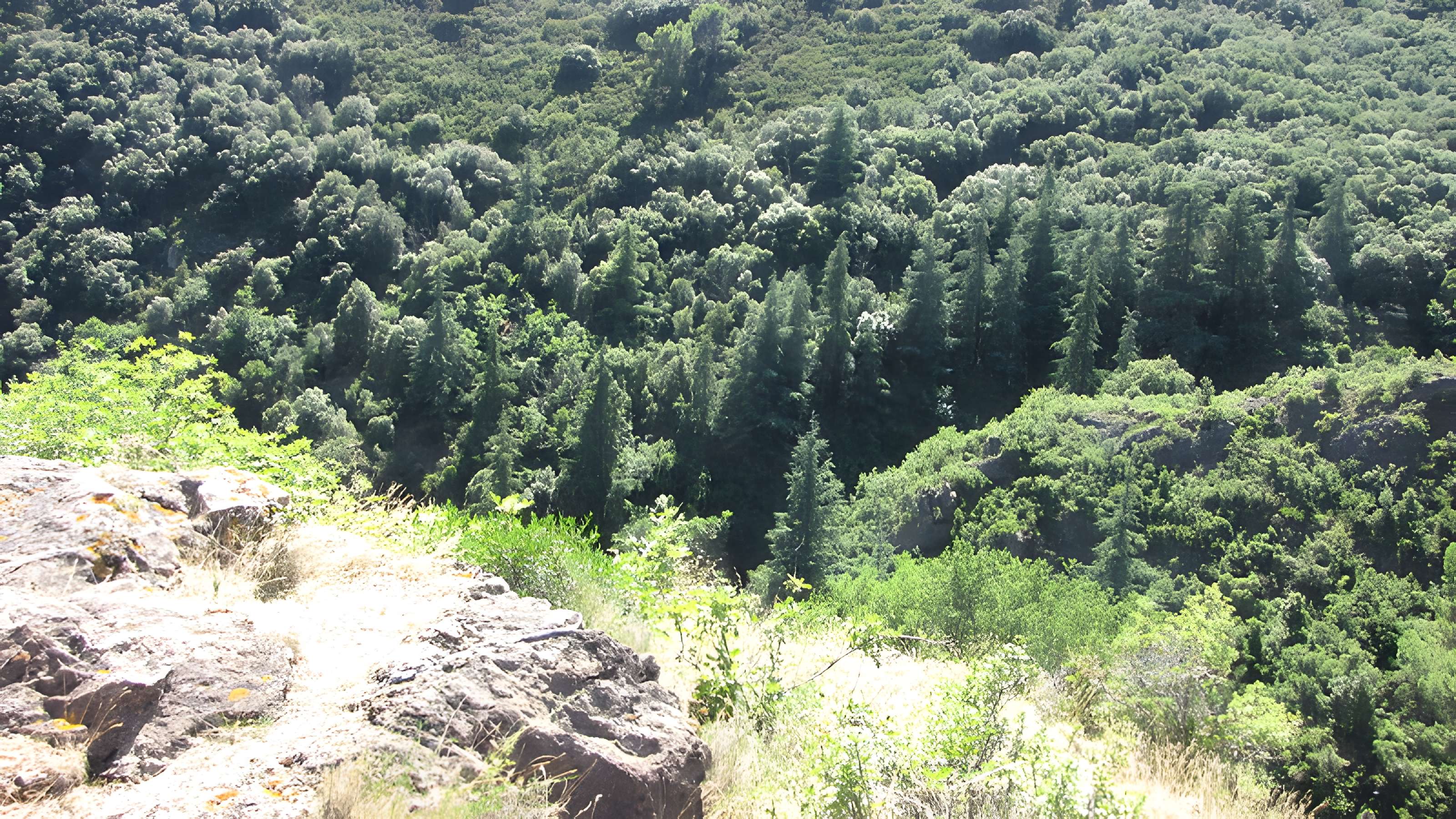 Ruines des quatre châteaux de Lastours