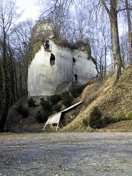 Photo de Château feodal de Fressin