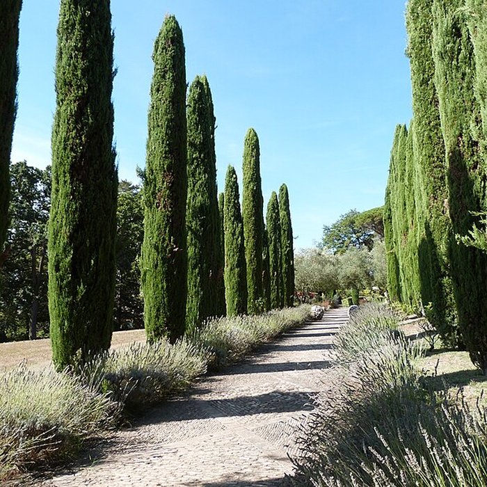 Photo de Château Gineste