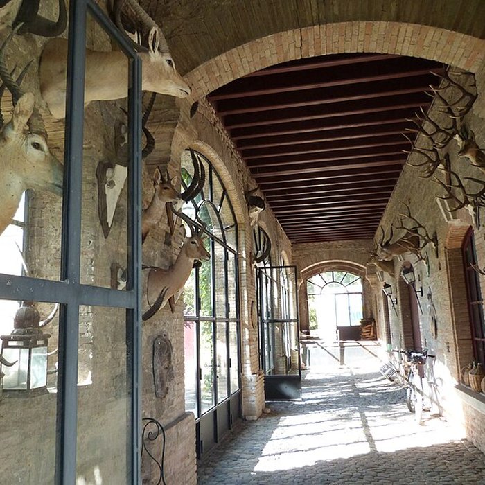 Photo de Château Gineste