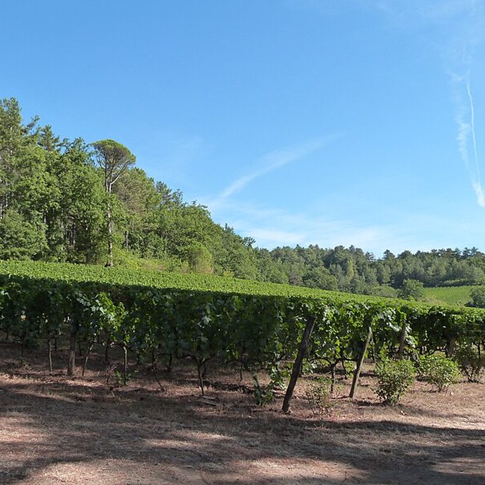 Photo de Château Gineste