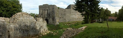 Photo de Ruines du Chateau de Présilly