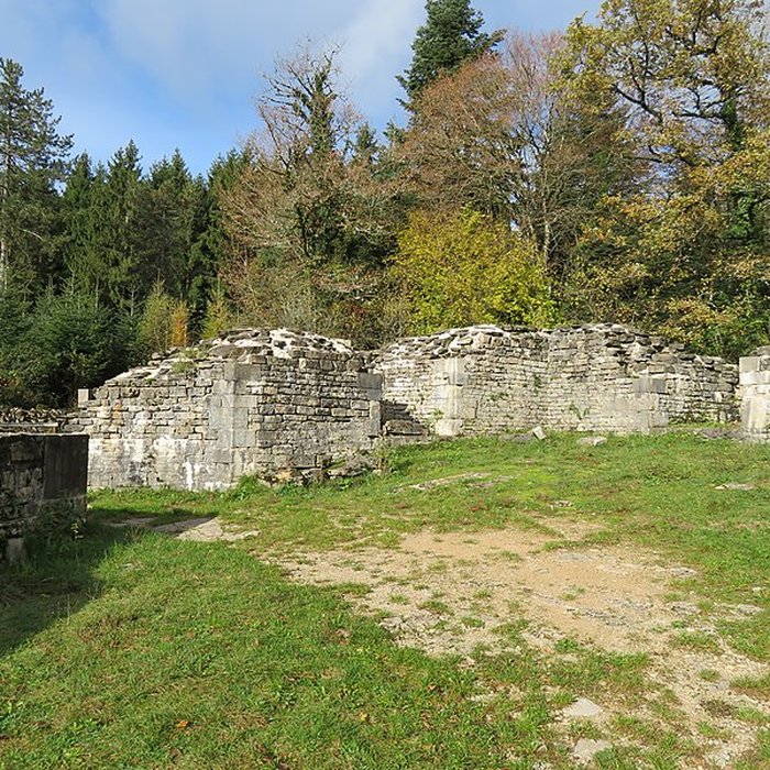 Photo de Ruines du Chateau de Présilly