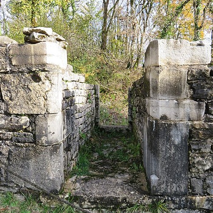 Photo de Ruines du Chateau de Présilly