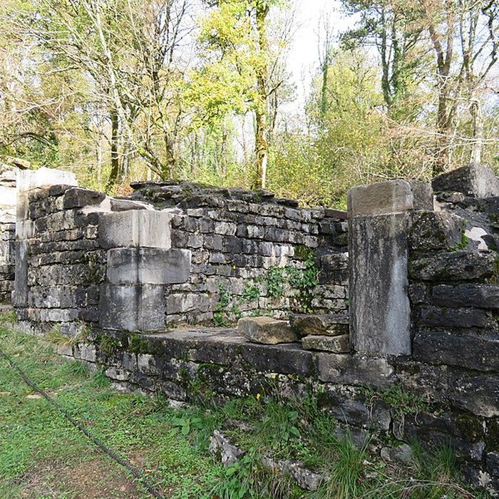 Photo de Ruines du Chateau de Présilly