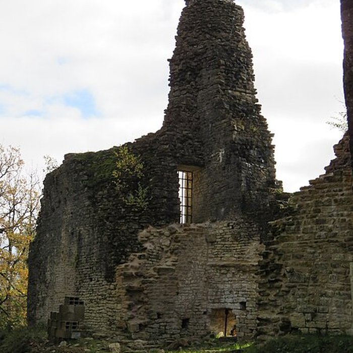 Photo de Ruines du Chateau de Présilly
