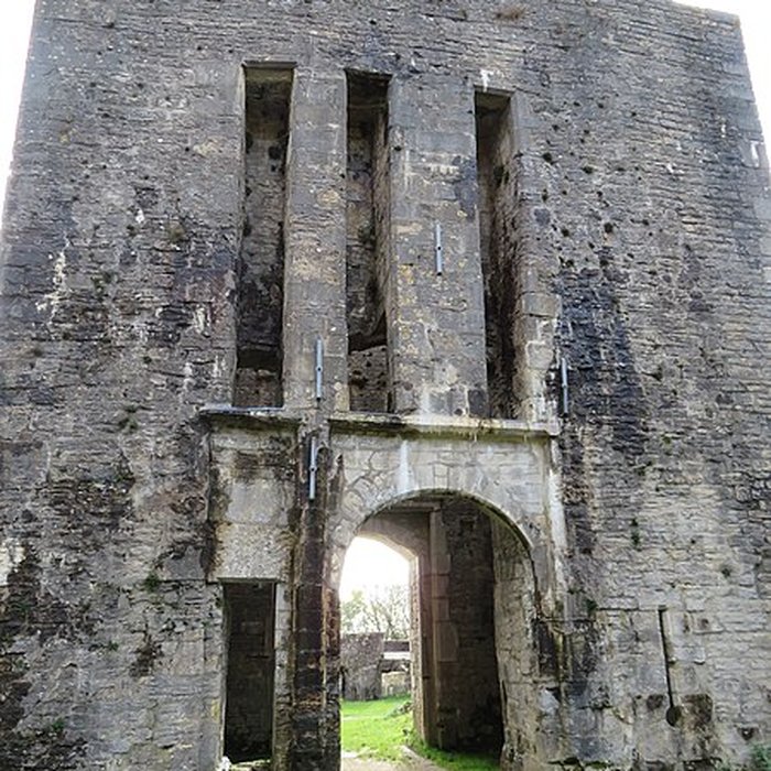 Photo de Ruines du Chateau de Présilly