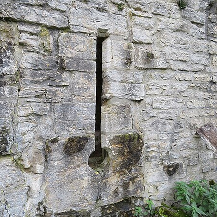 Photo de Ruines du Chateau de Présilly