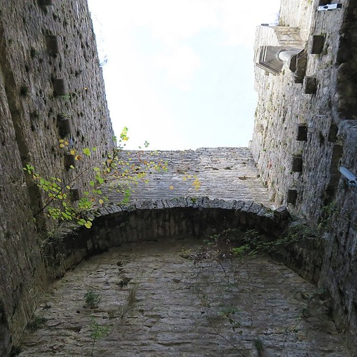 Photo de Ruines du Chateau de Présilly