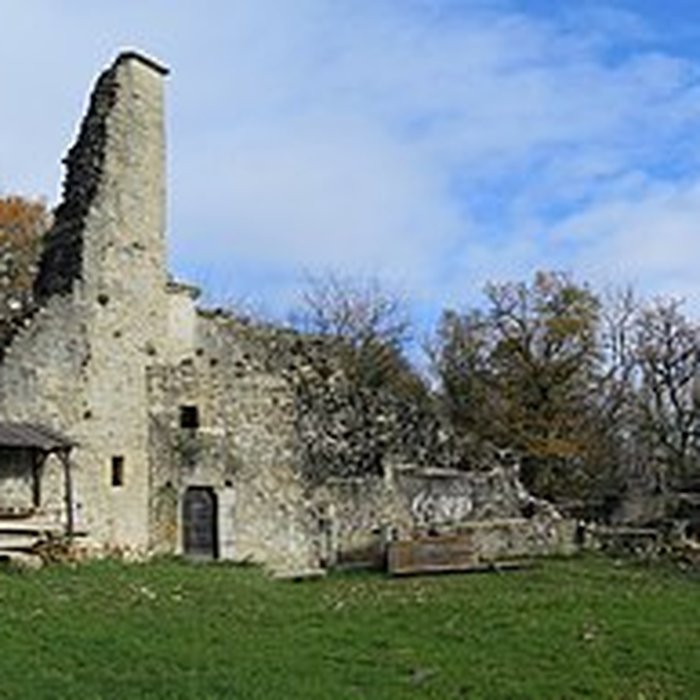 Photo de Ruines du Chateau de Présilly