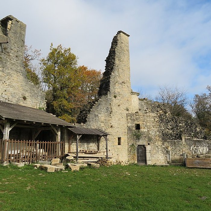 Photo de Ruines du Chateau de Présilly