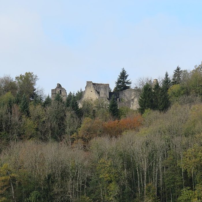 Photo de Ruines du Chateau de Présilly