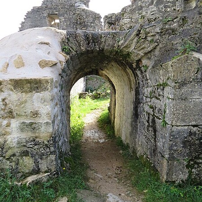 Photo de Ruines du Chateau de Présilly