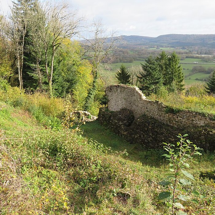 Photo de Ruines du Chateau de Présilly