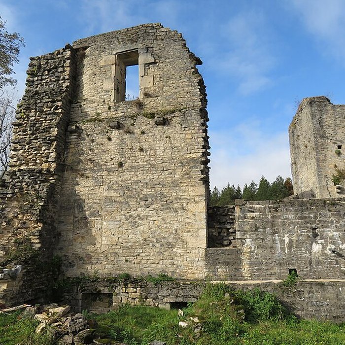 Photo de Ruines du Chateau de Présilly