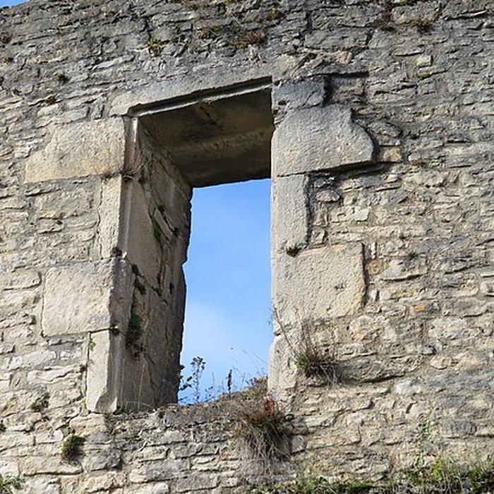 Photo de Ruines du Chateau de Présilly