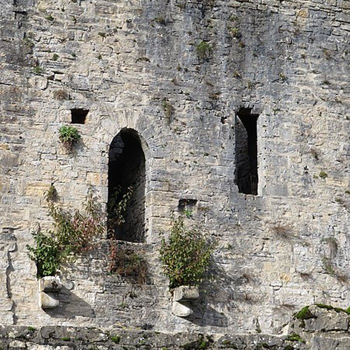 Photo de Ruines du Chateau de Présilly