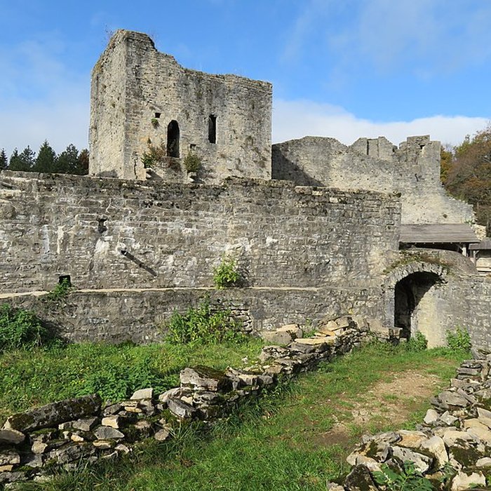 Photo de Ruines du Chateau de Présilly