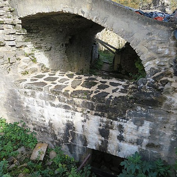 Photo de Ruines du Chateau de Présilly