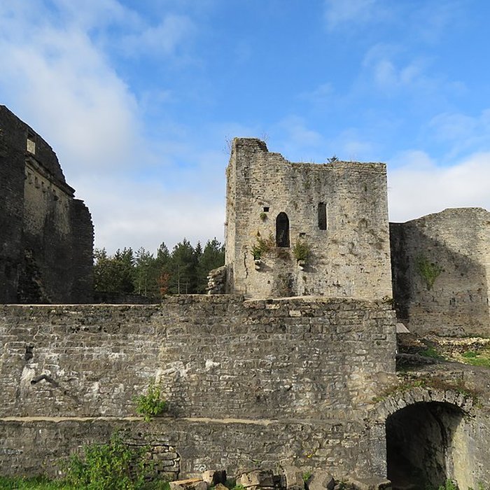 Photo de Ruines du Chateau de Présilly