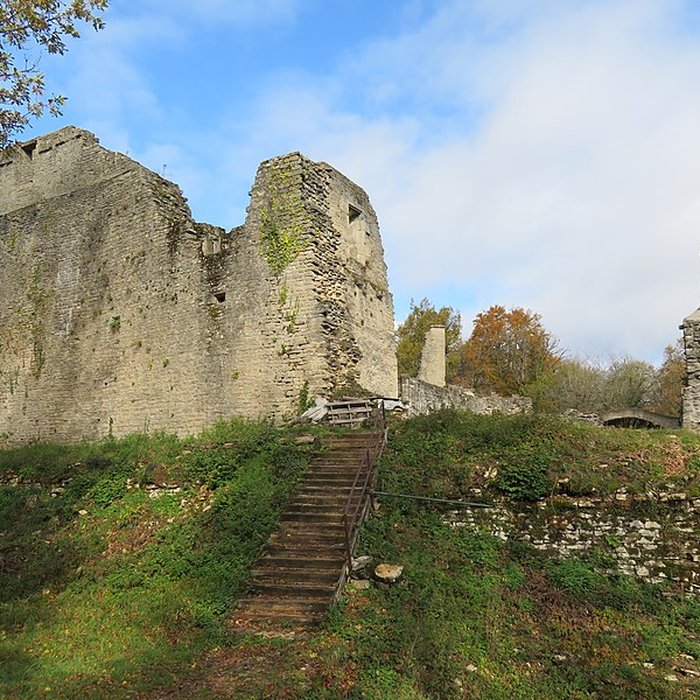 Photo de Ruines du Chateau de Présilly