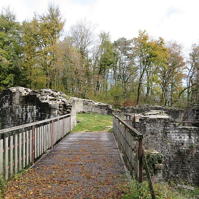 Photo de Ruines du Chateau de Présilly