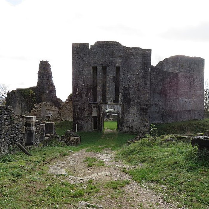 Photo de Ruines du Chateau de Présilly