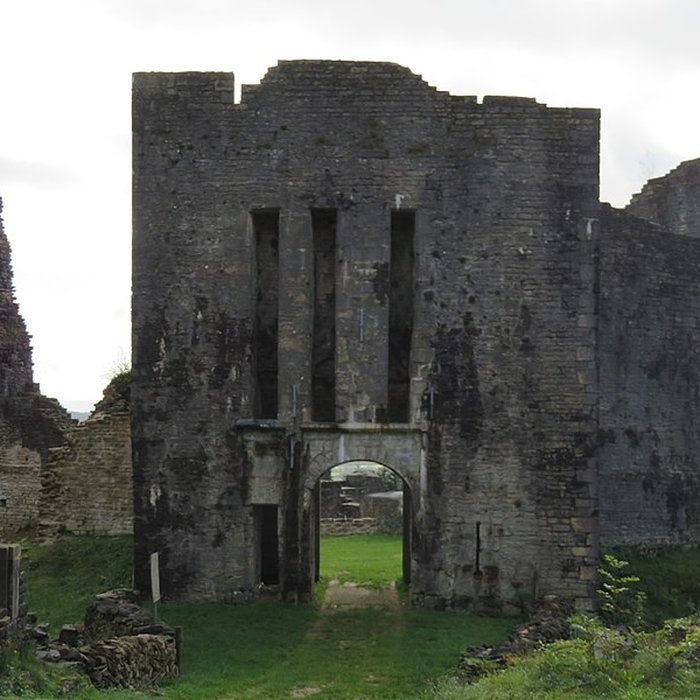 Photo de Ruines du Chateau de Présilly