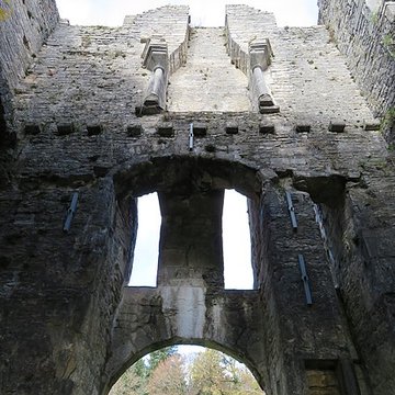 Ruines du Chateau de Présilly