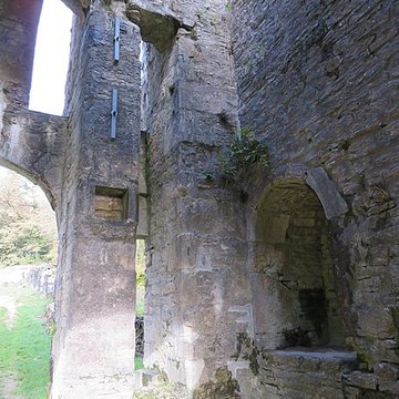 Ruines du Chateau de Présilly