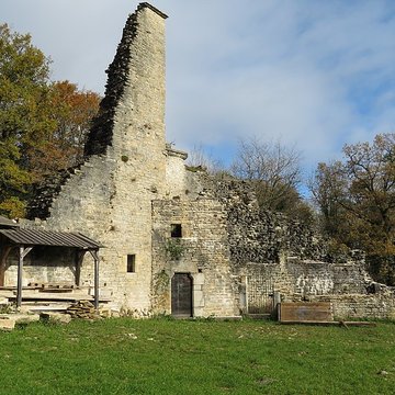Ruines du Chateau de Présilly