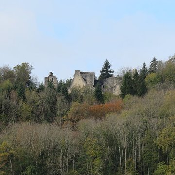 Ruines du Chateau de Présilly