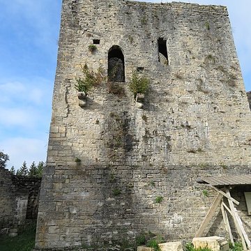 Ruines du Chateau de Présilly
