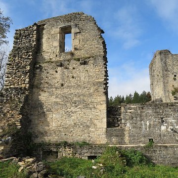 Ruines du Chateau de Présilly