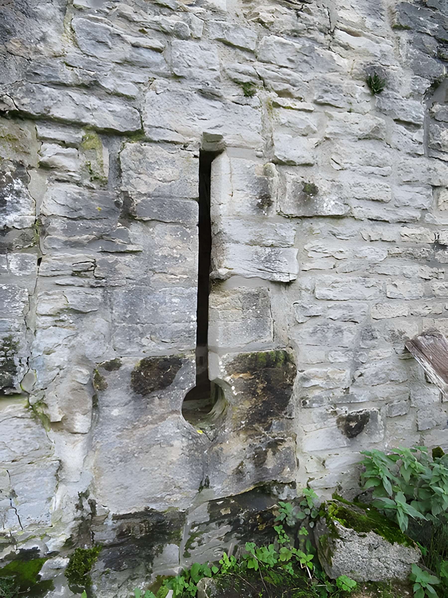 Ruines du Chateau de Présilly