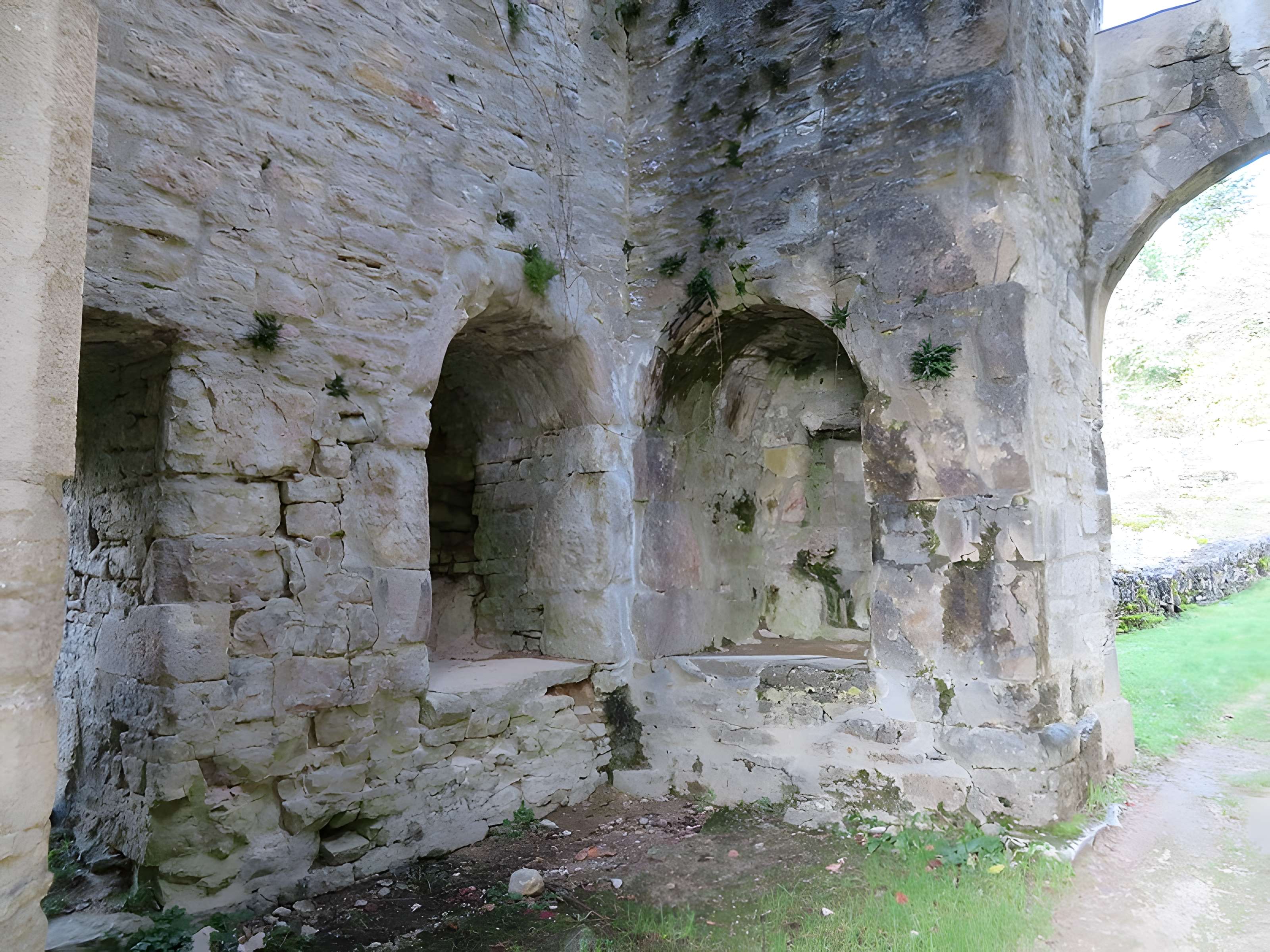 Ruines du Chateau de Présilly
