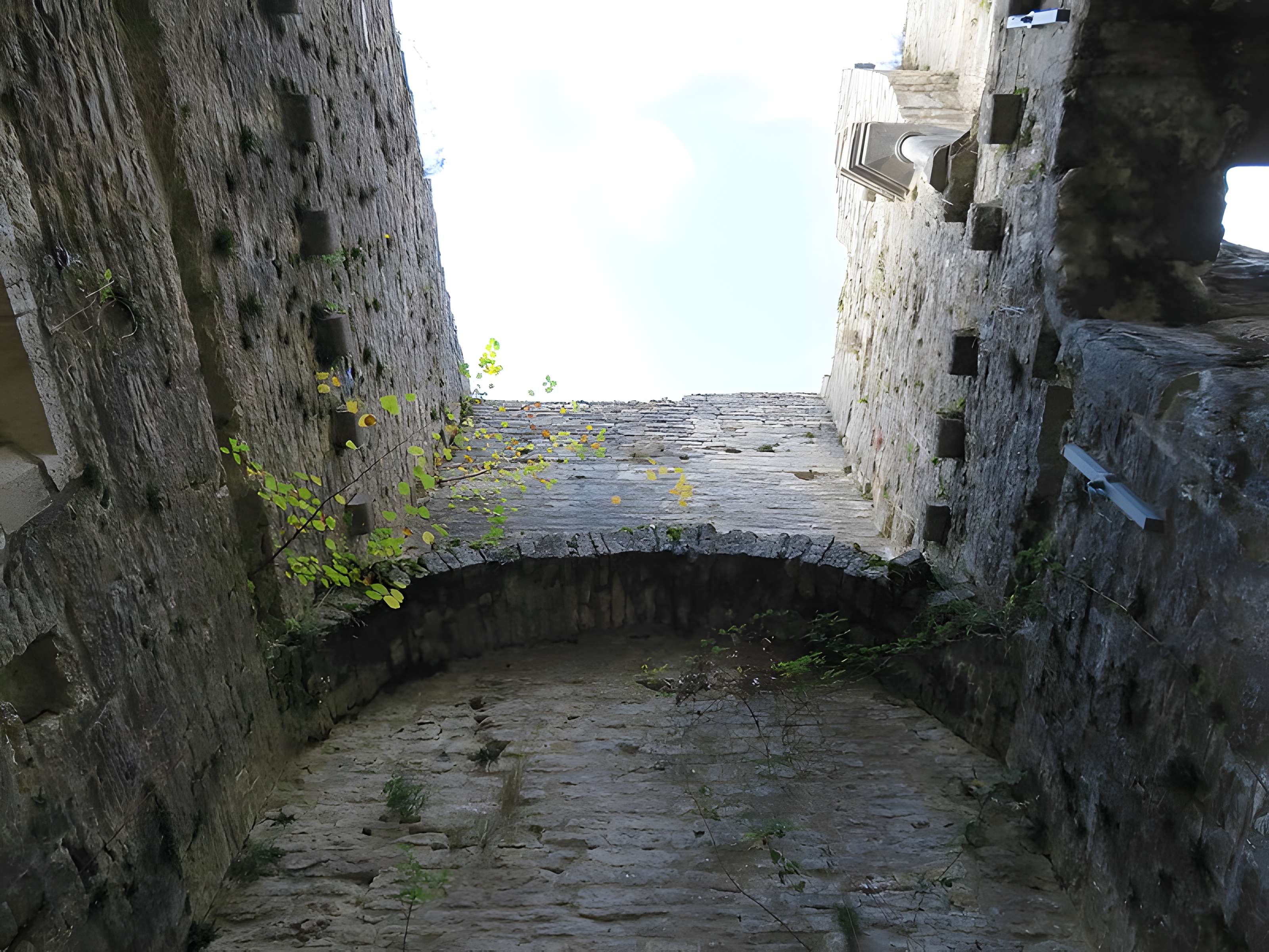 Ruines du Chateau de Présilly
