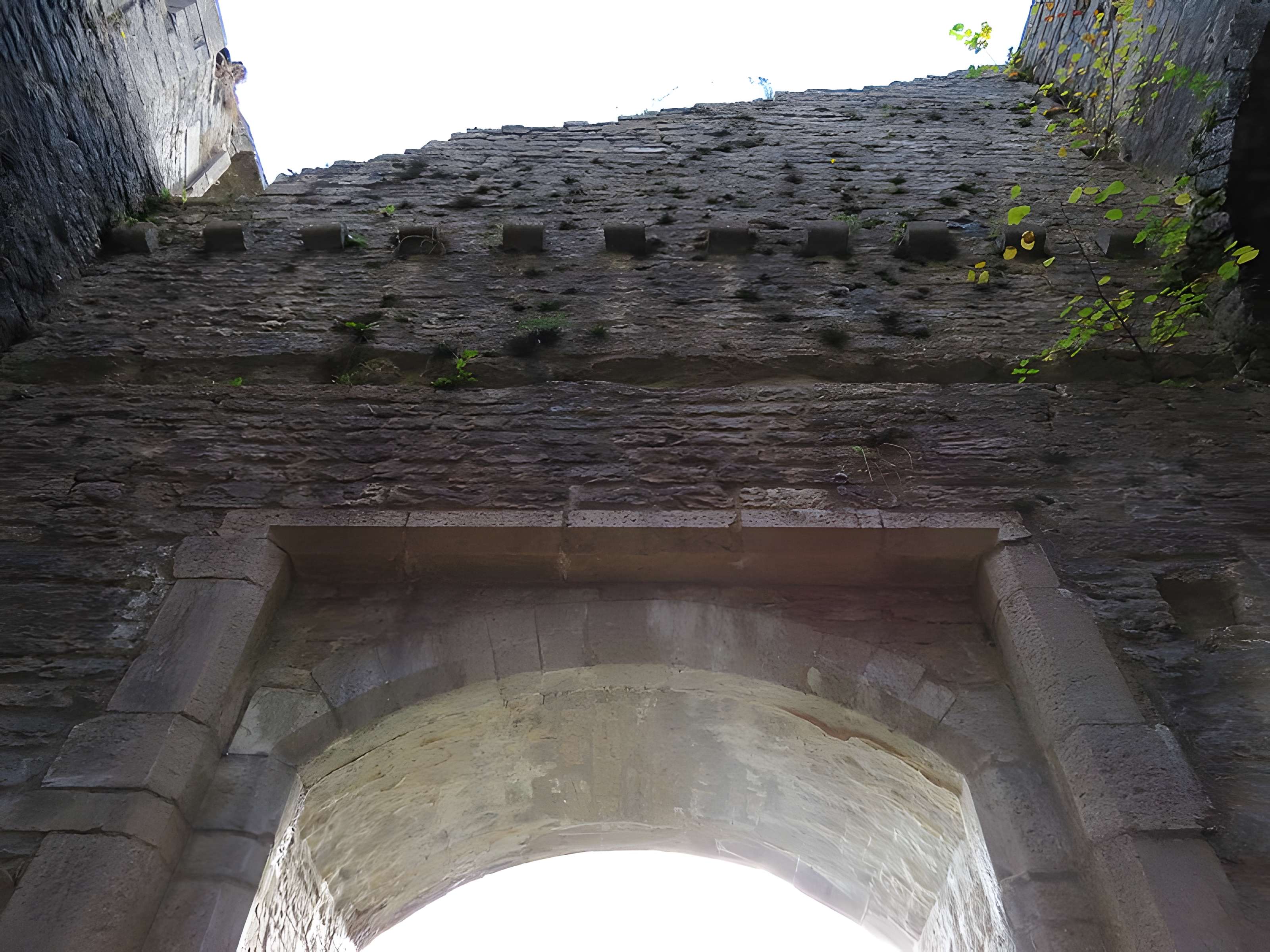 Ruines du Chateau de Présilly