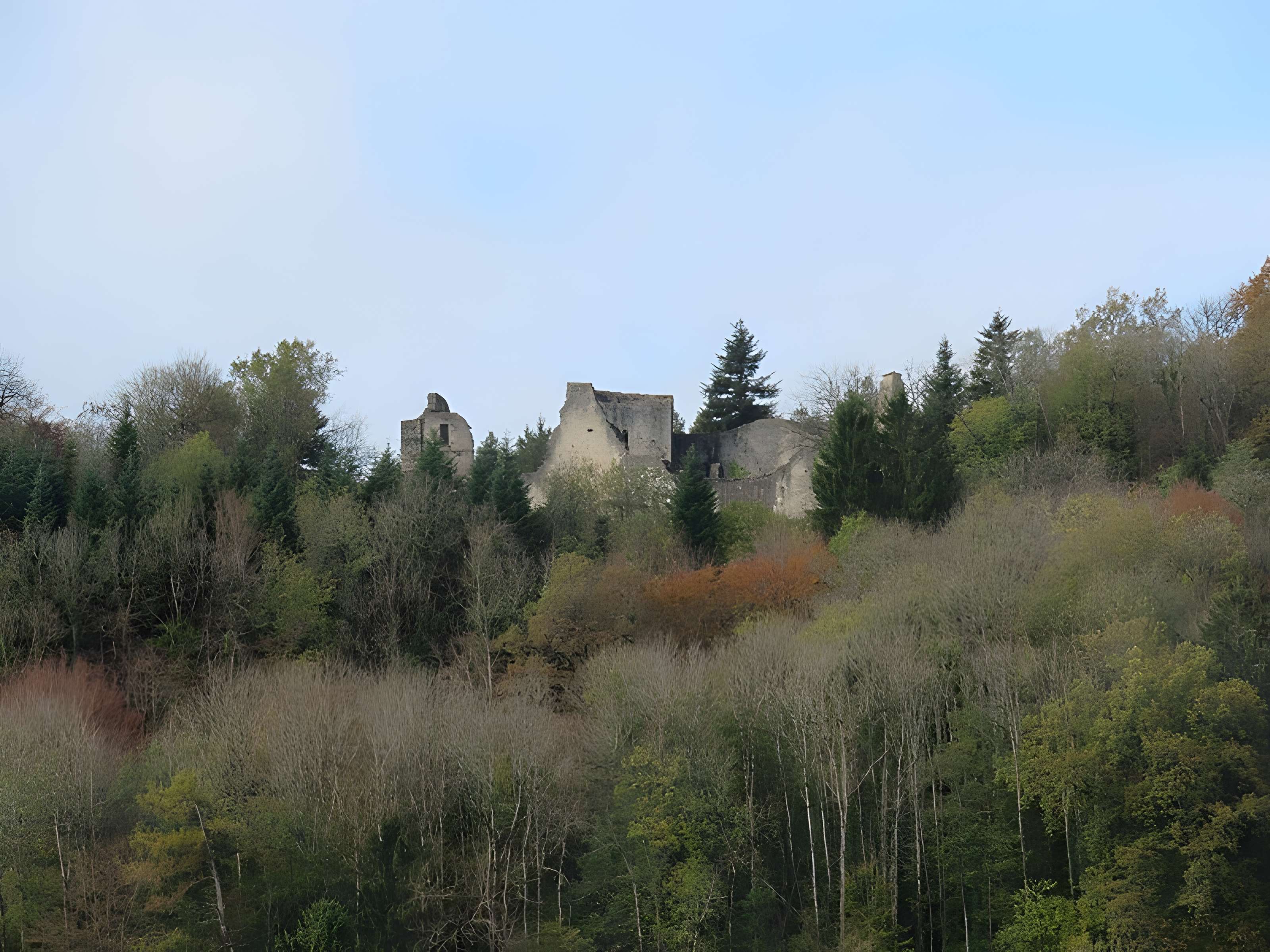 Ruines du Chateau de Présilly
