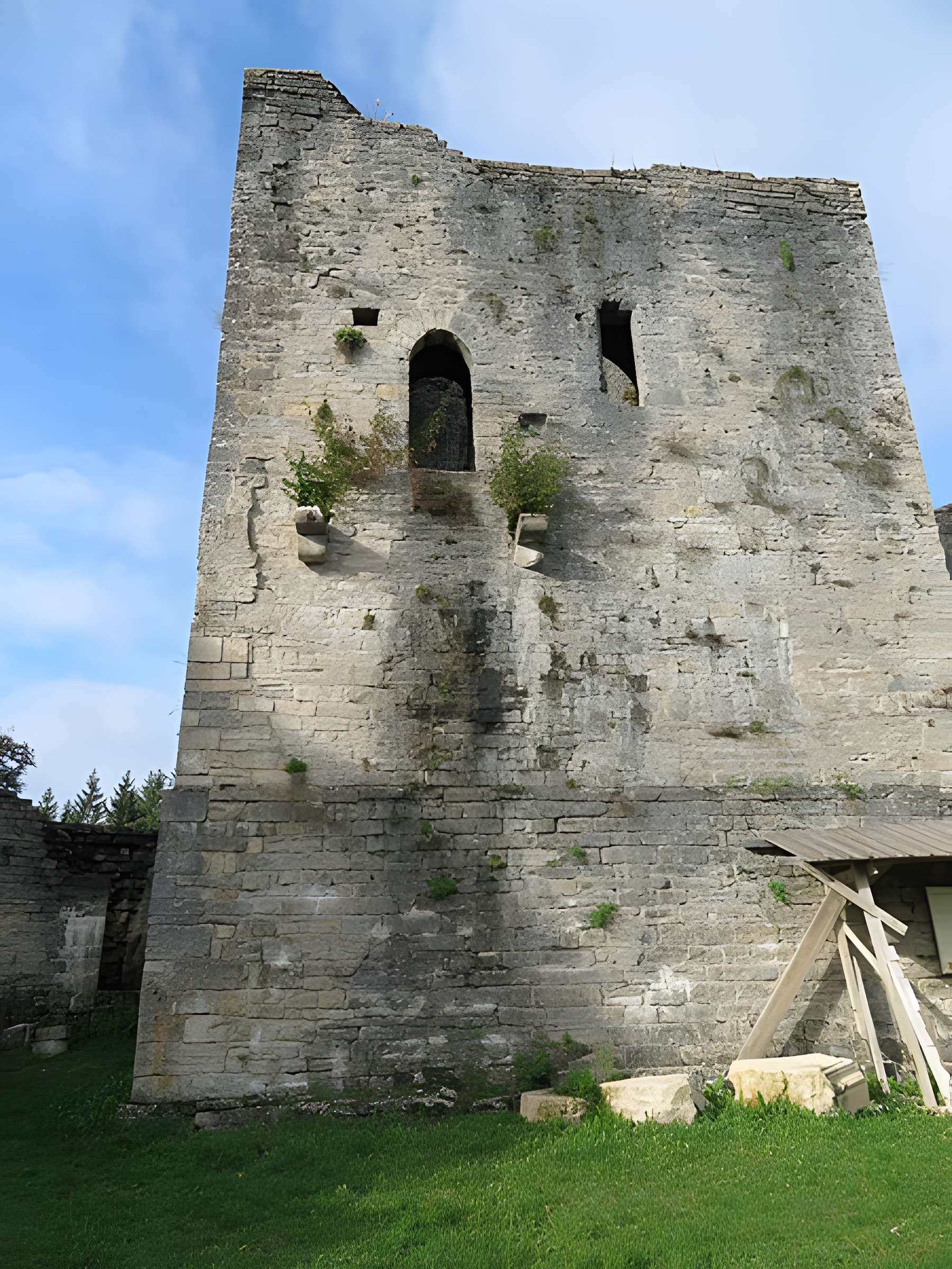 Ruines du Chateau de Présilly