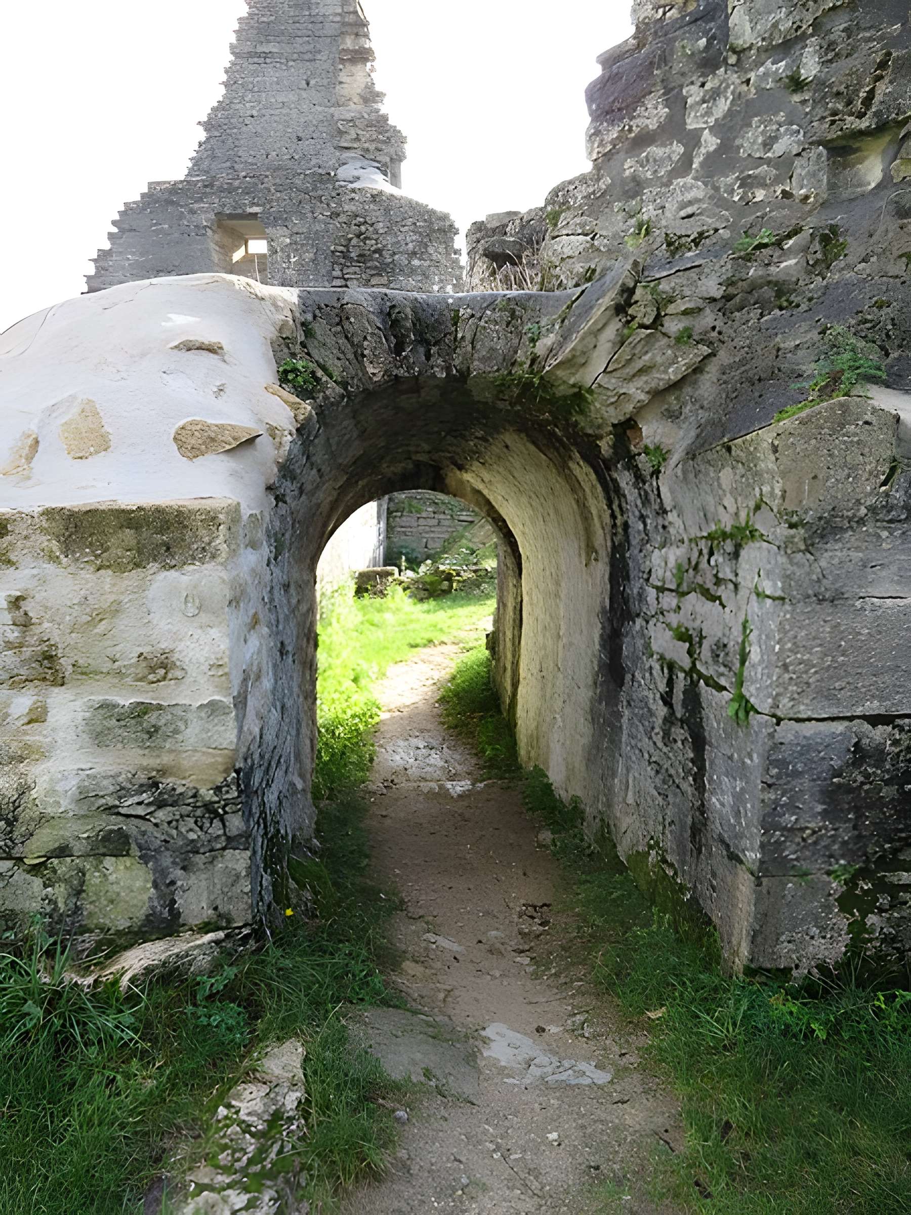 Ruines du Chateau de Présilly