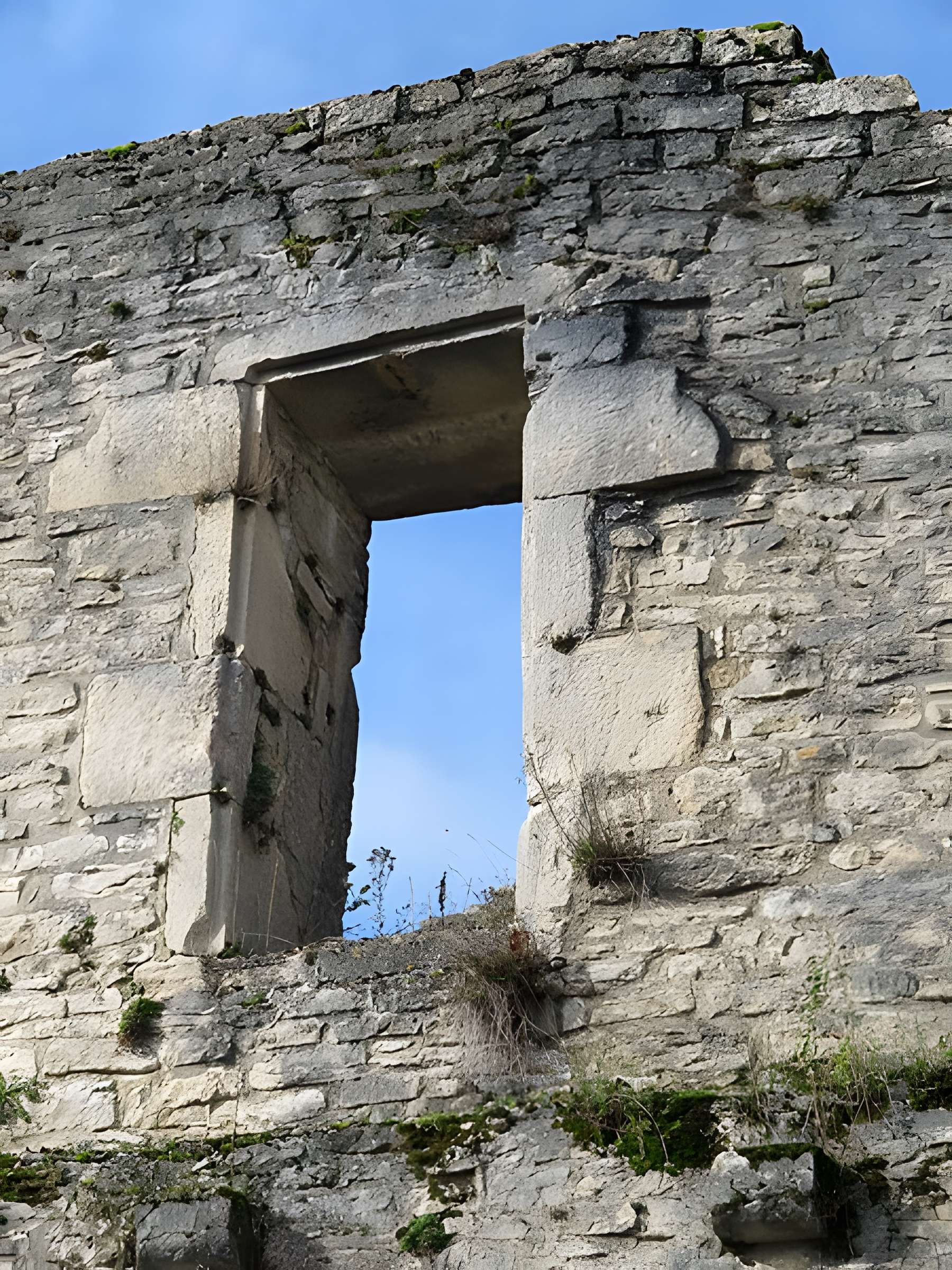 Ruines du Chateau de Présilly