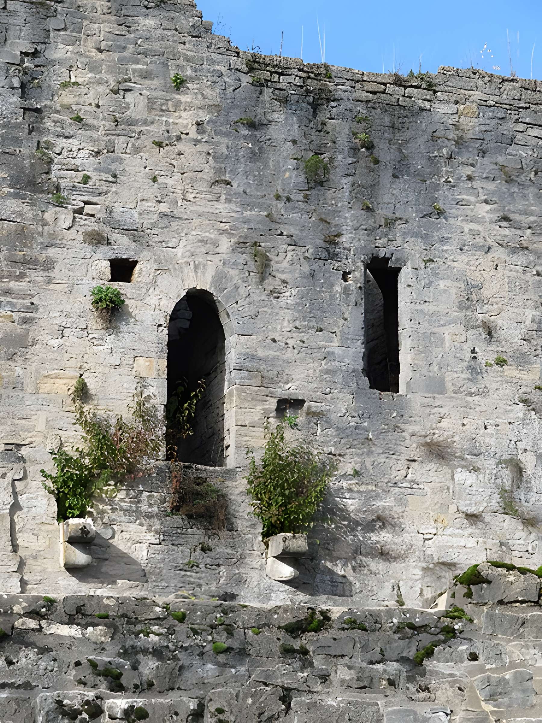 Ruines du Chateau de Présilly