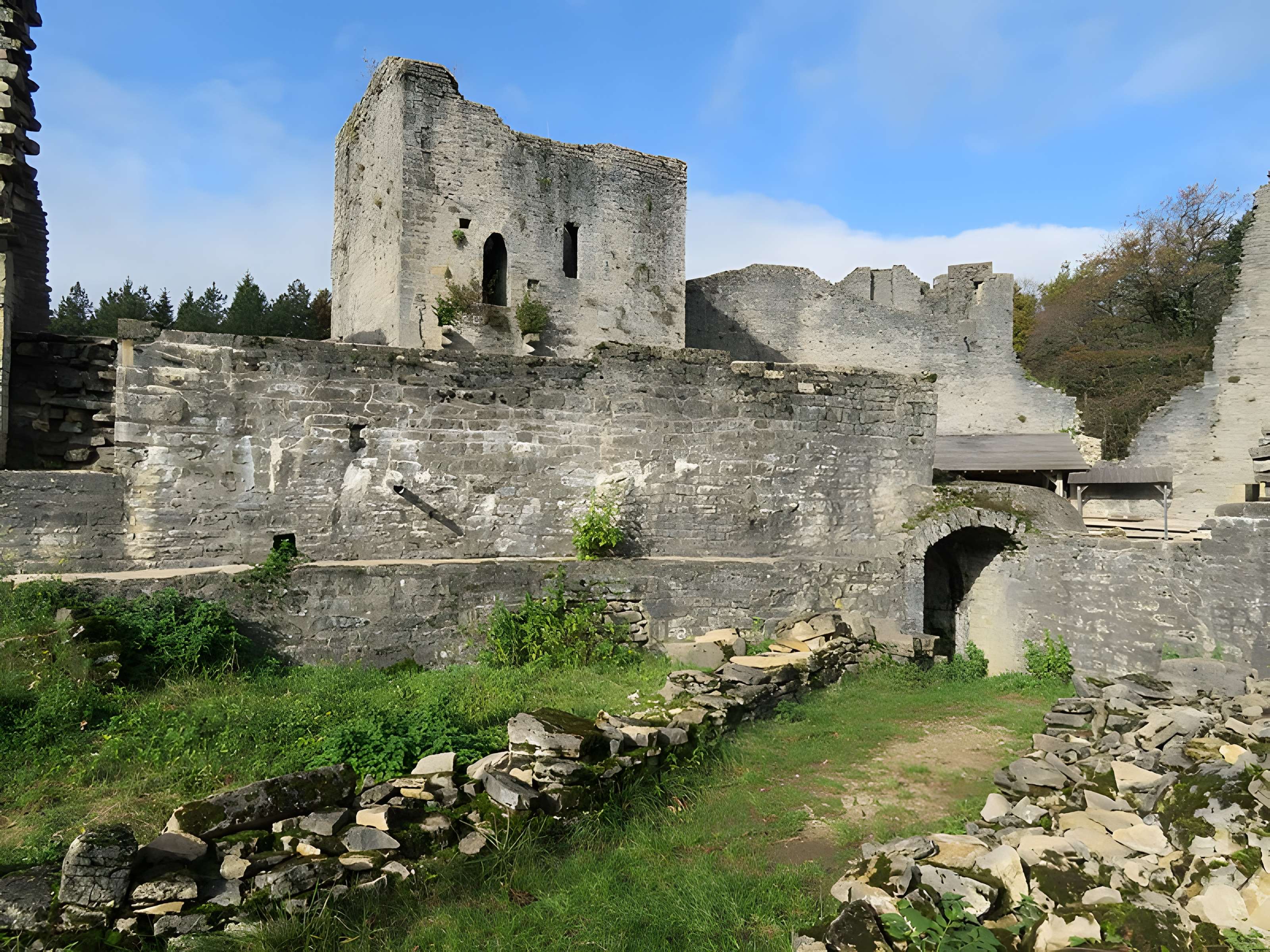Ruines du Chateau de Présilly