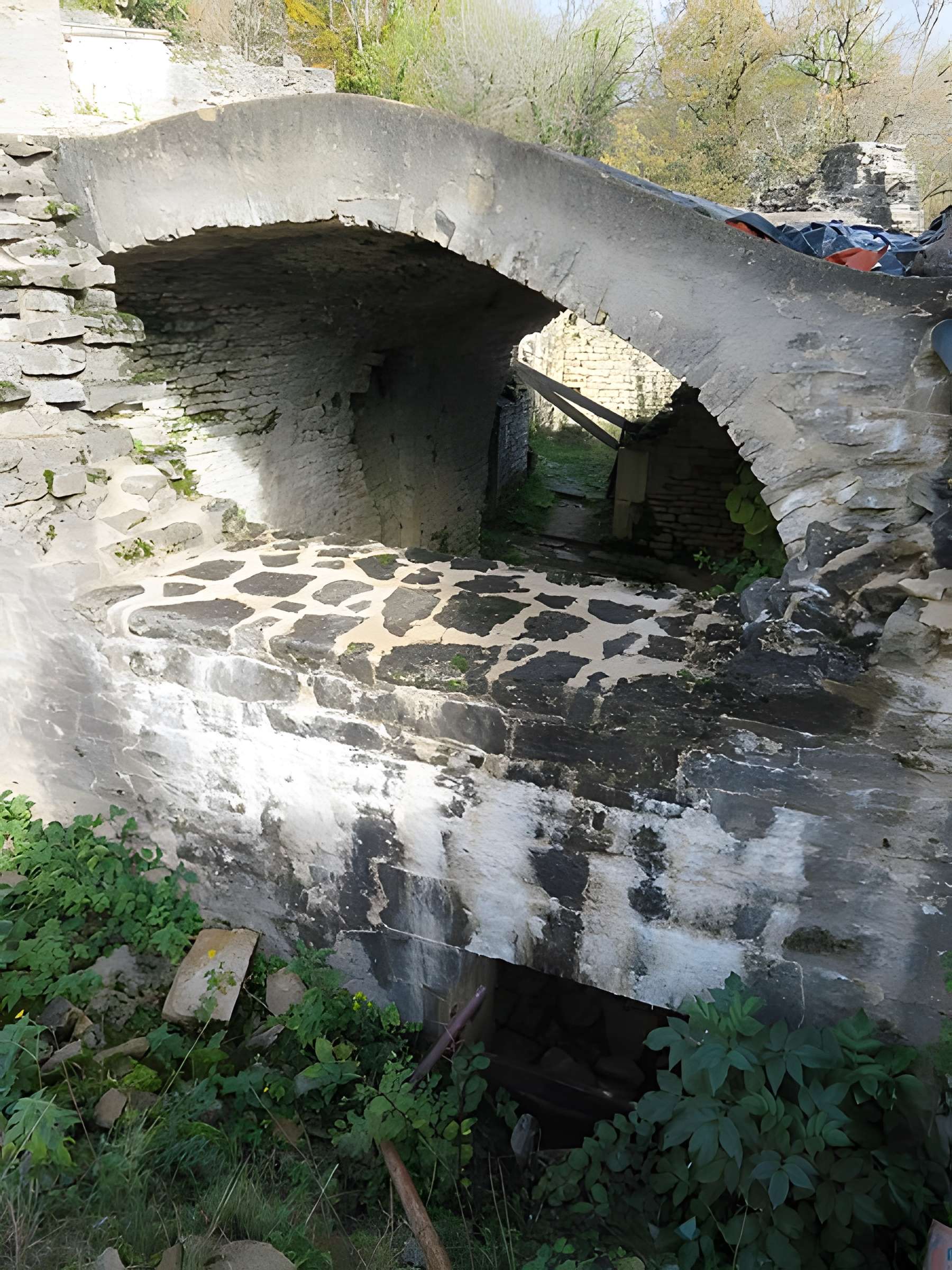 Ruines du Chateau de Présilly